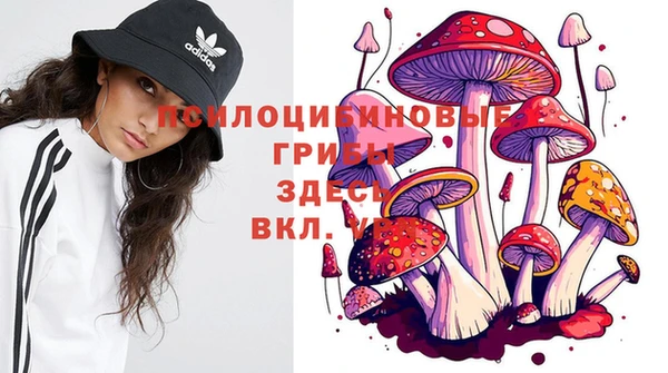 кокаин перу Арсеньев