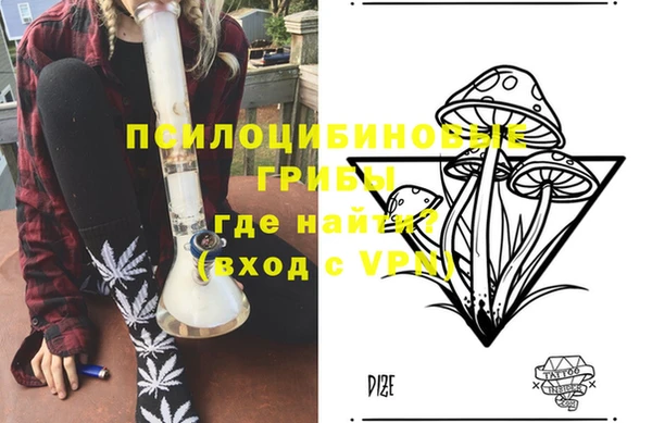 бошки Армянск