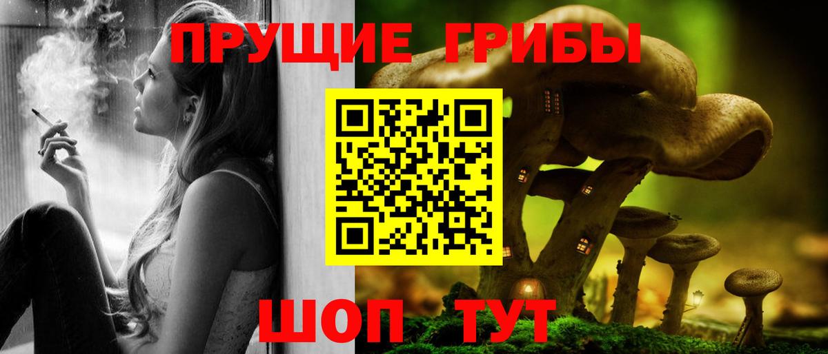 наркотики  Галлюциногенные грибы Psilocybe  Вход с VPN  Качканар 
